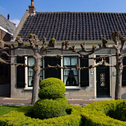 Tijdelijke expositie ‘Van aardbeziën tot zomerkoninkjes’